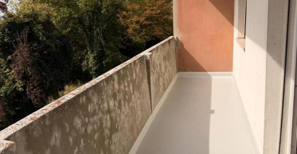 Appartement rénové de 5 pièces à Thônex - Appartement 5 pièces - image - 1