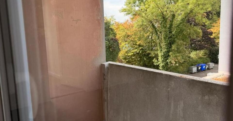 Appartement rénové de 5 pièces à Thônex - Appartement 5 pièces - image - 3