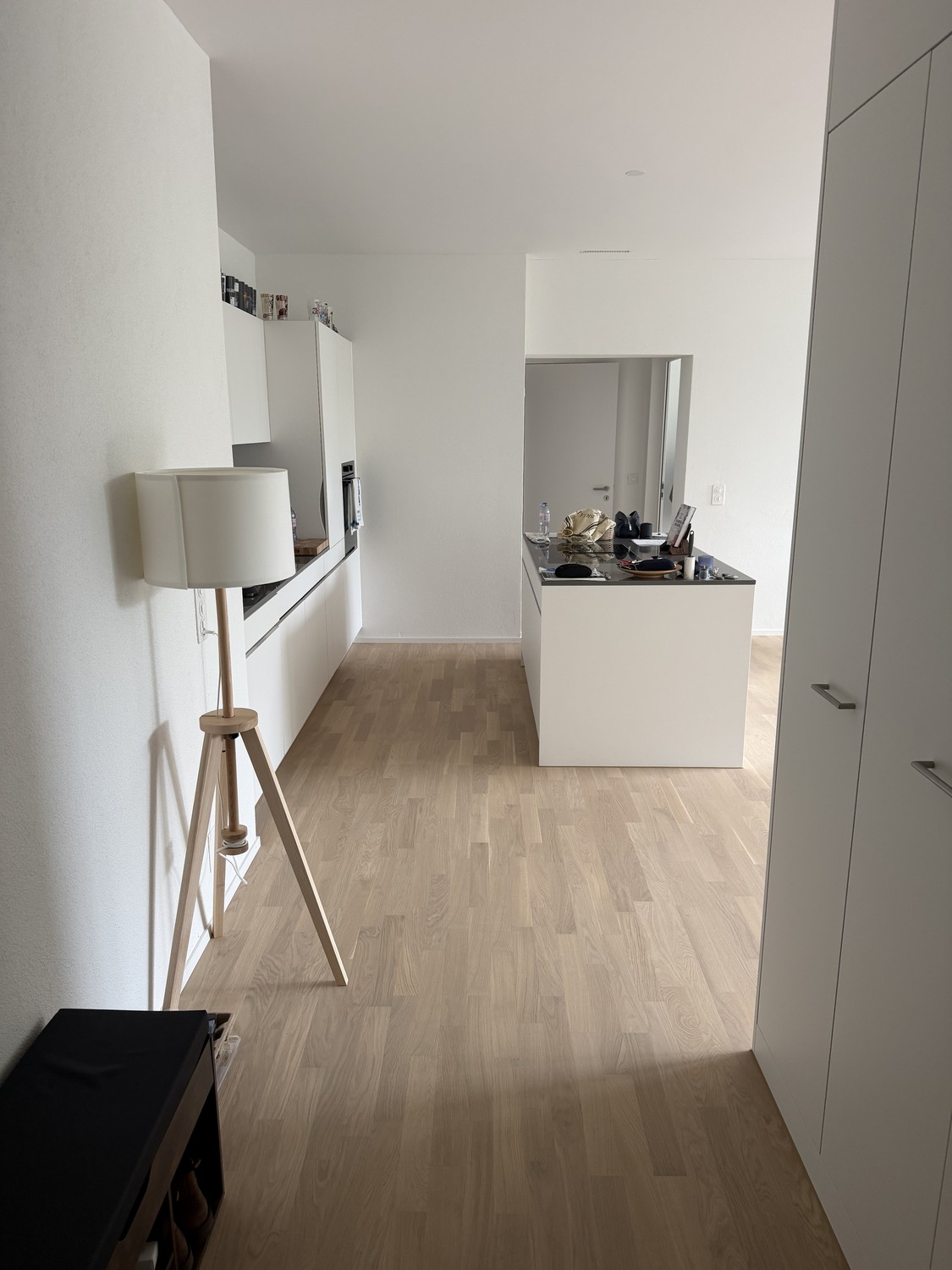 Loft Style Flat in City Centre of Zug near Train Station - Bild 1