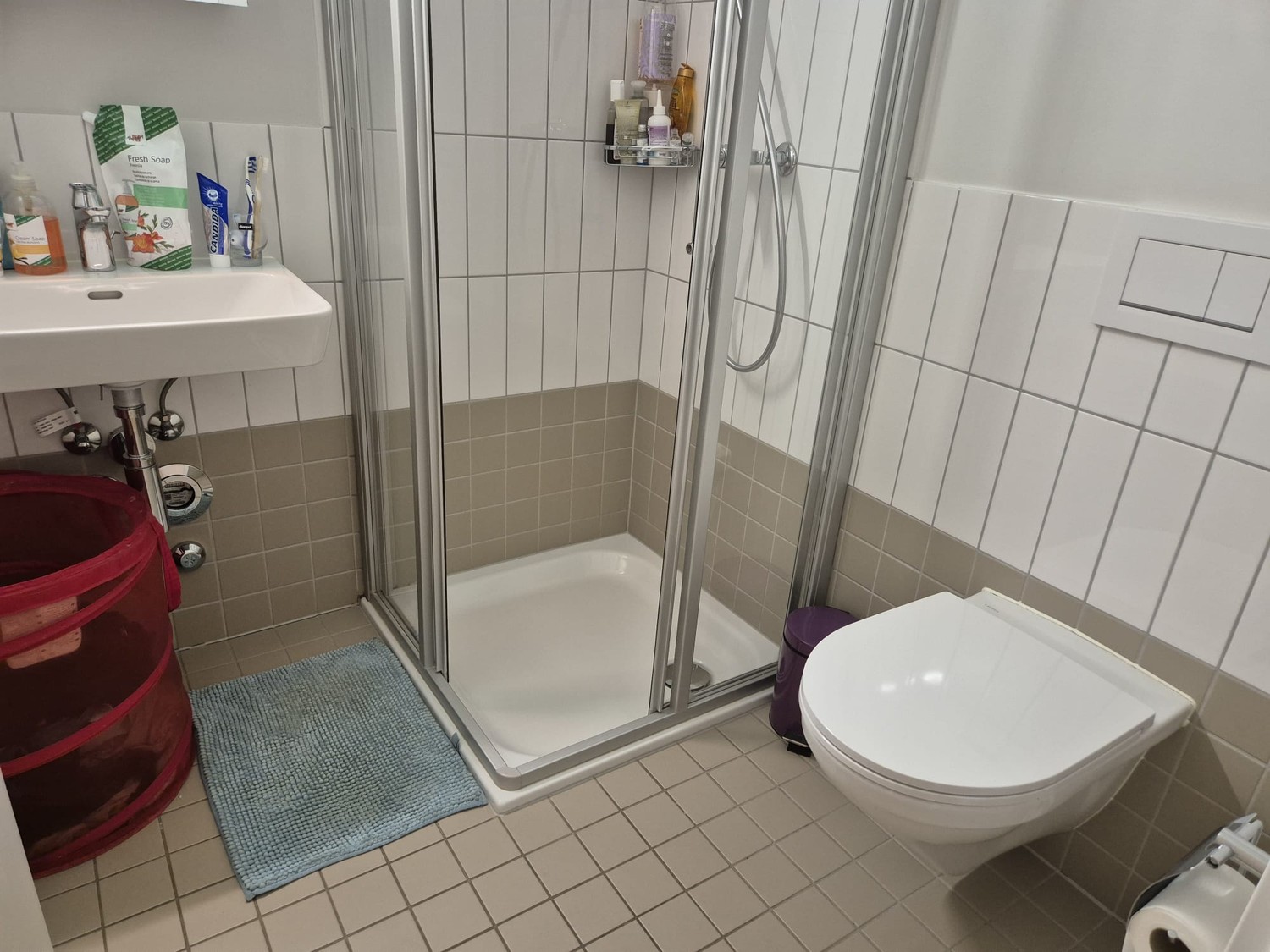 4.5 pièces 110m2 proche Gare, quartier vivant avec services - Bild 9