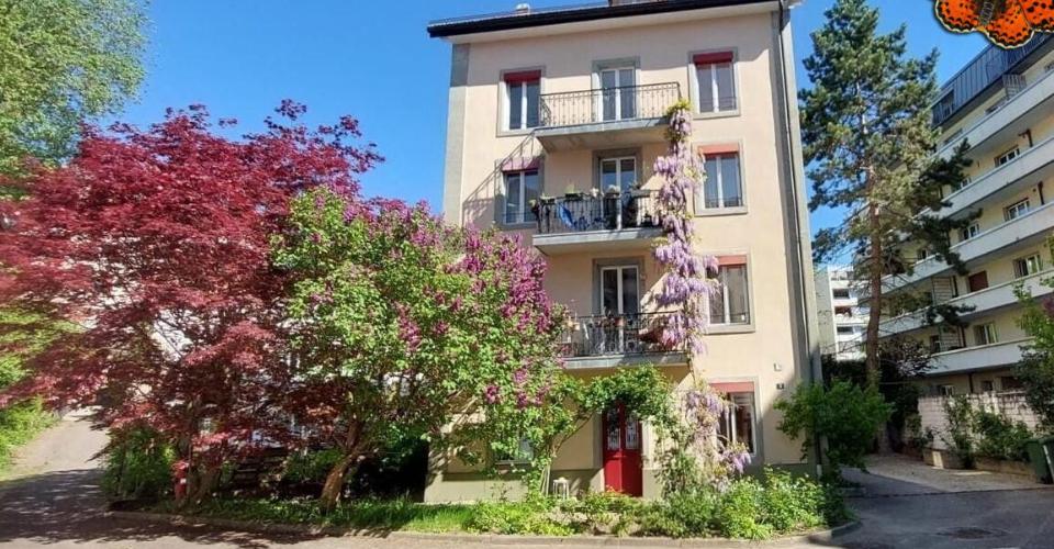 2½ pièces - Au calme - Appartement 2.5 pièces - image - 1