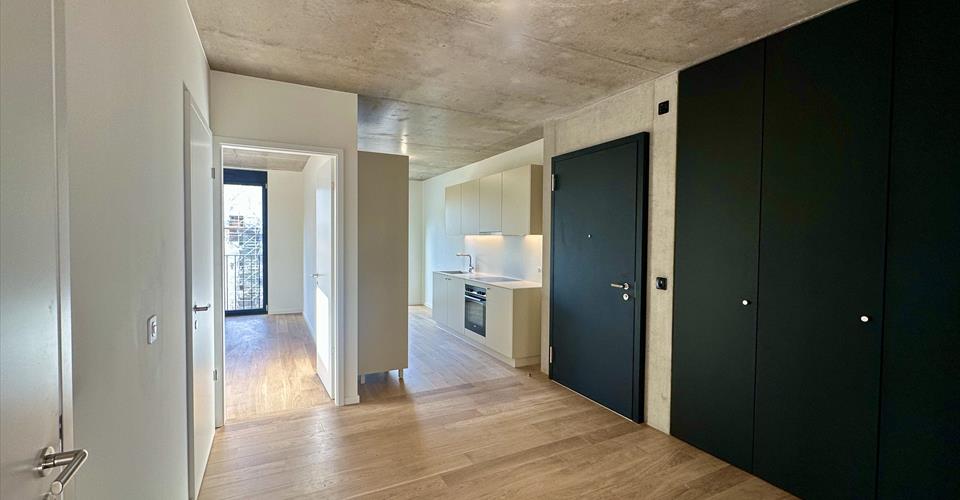 5 PIÈCES NEUFS À CAROUGE – DISPONIBLES IMMÉDIATEMENT - Appartement 5 pièces - image - 4