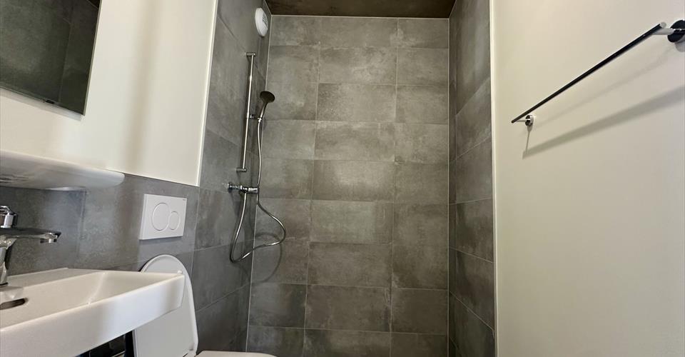 5 PIÈCES NEUFS À CAROUGE – DISPONIBLES IMMÉDIATEMENT - Appartement 5 pièces - image - 11