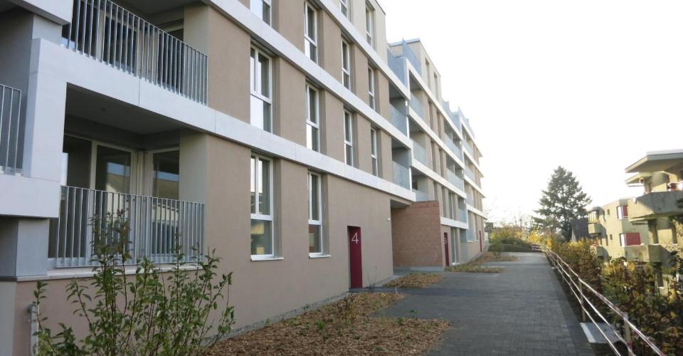 Wohnbehagen pur! - Appartement 2.5 pièces - image - 1