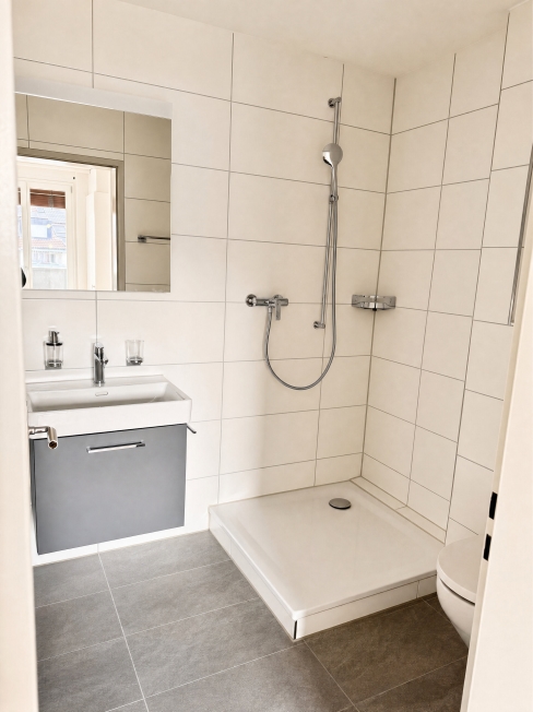 Sanierte 2.5-Zimmer-Dachwohnung mit Terrasse - Erstbezug - Bild 8