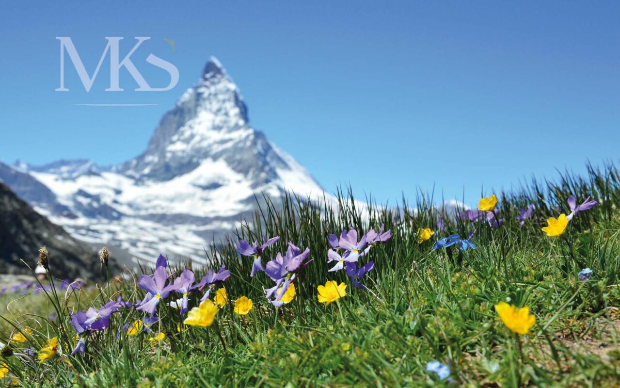 Attraktive 2.5 Zimmer Wohnung in Visp - Zermatt