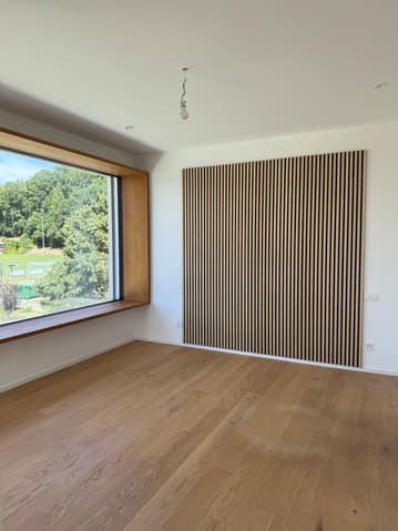 2.5 pièces en attique avec grande terrasse et vue sur le lac - Bild 6