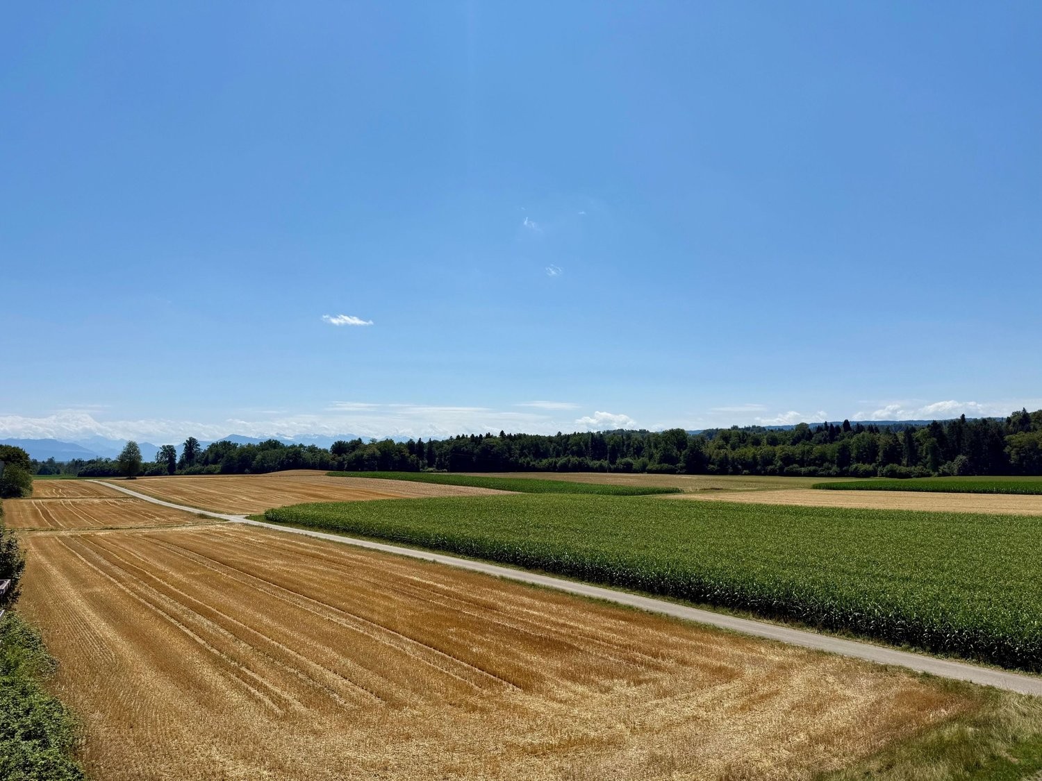 Grosszügige 5.5-Zimmerwohnung mit Terrasse, Bergsicht und Schwedenofen - Ausblick