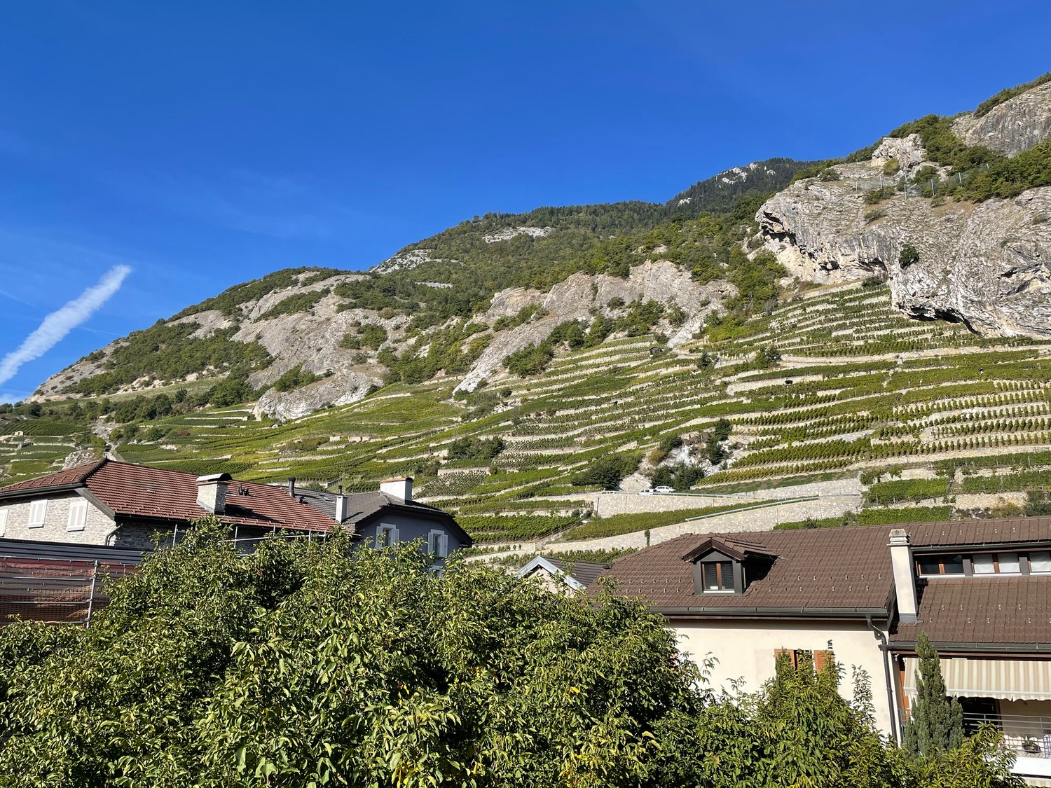 SUPERBE 3.5P NEUF AVEC BALCON ET PARC INTERIEUR COMPRIS- SITUATION IDÉALE À ARDON - Bild 1