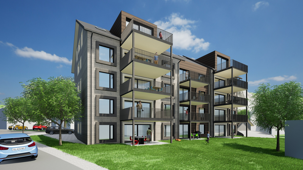 Moderne 2.5 Zimmer Neubauwohnung in Unteriberg, Alpenblick - Bild 3