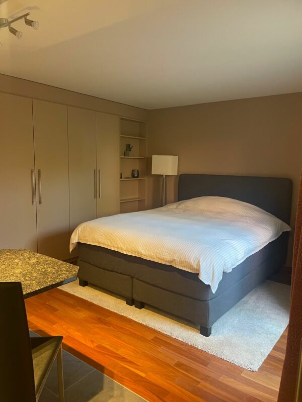Gemütliche möblierte Studiowohnung  im Steuerparadies Kopie - Bild 2