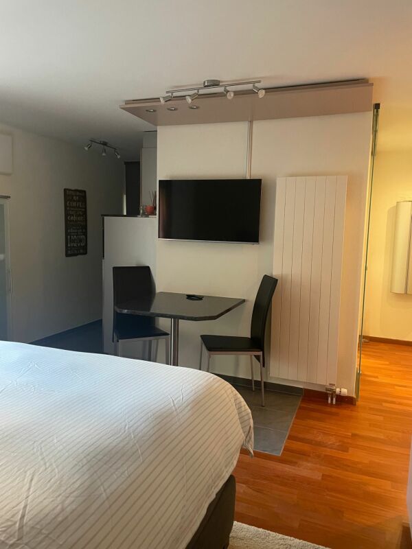 Gemütliche möblierte Studiowohnung  im Steuerparadies Kopie - Bild 3