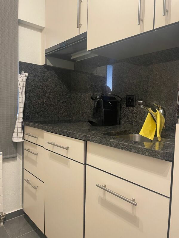 Gemütliche möblierte Studiowohnung  im Steuerparadies Kopie - Bild 4