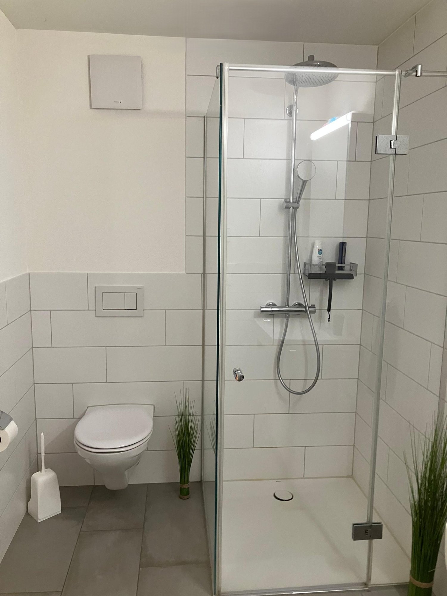 Grosszügige 5.5-Zimmer-Wohnung in Rüfenach AG - Bild 6