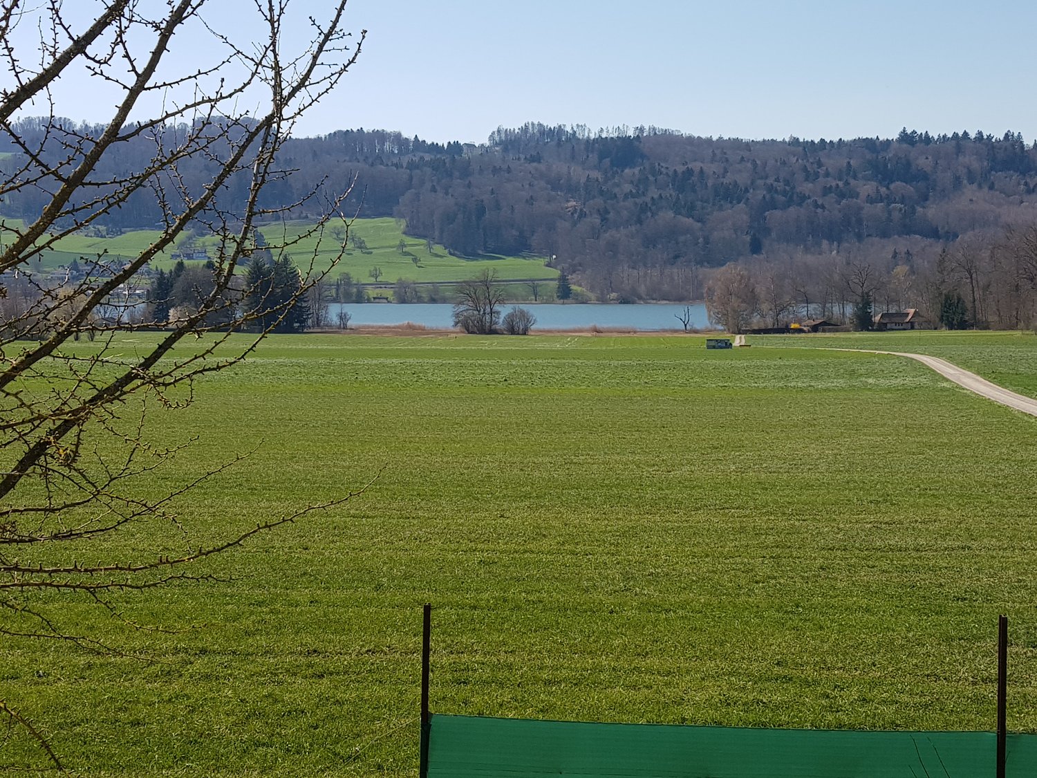 Wohnen am Hallwilersee - Bild 8