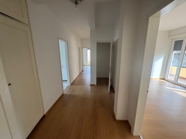 Ampio appartamento 3.5 locali luminoso in affitto a Lugano - Bild 1