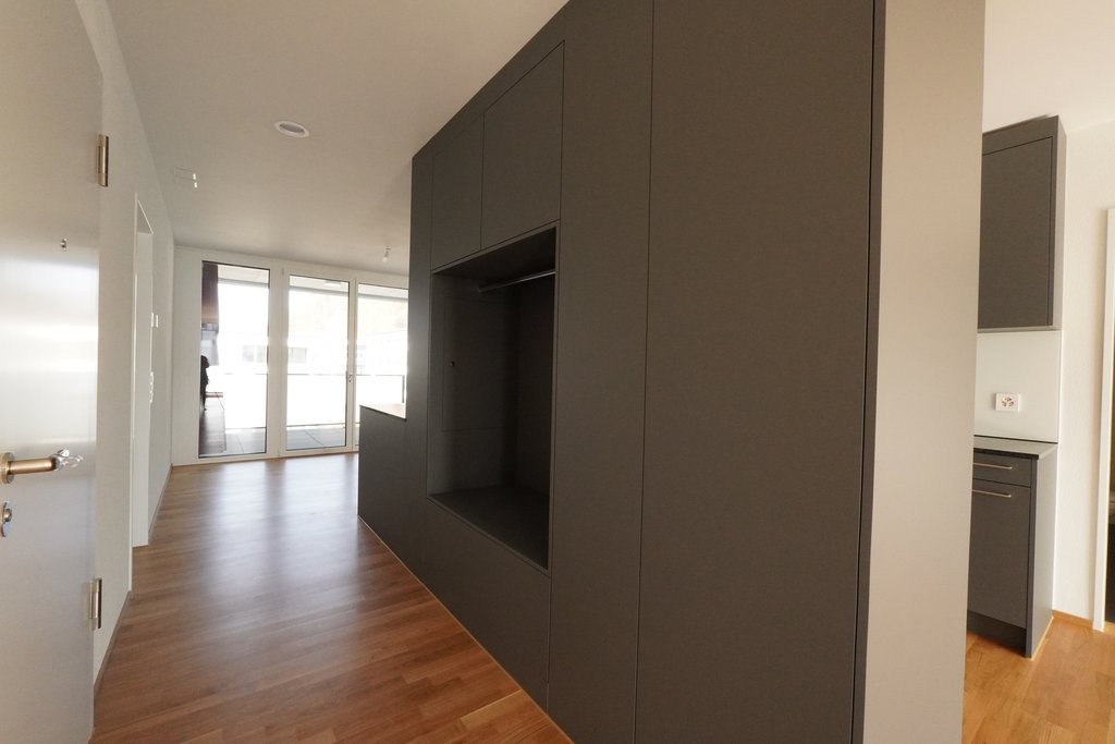 ERSTVERMIETUNG IN LIESTAL - jede Wohnung mit eigenem Waschturm - DSC02787.JPG