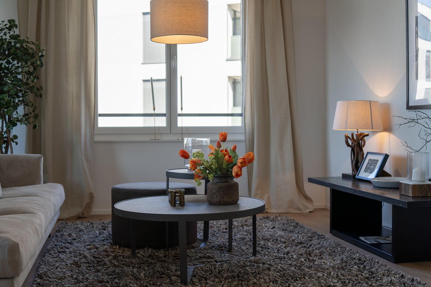 Frühlings-Special - 1 Nettomietzins geschenkt! - Bild 1