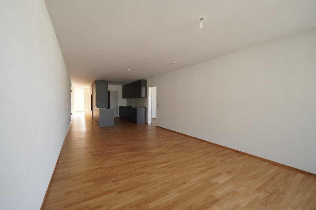 ERSTVERMIETUNG IN LIESTAL - jede Wohnung mit eigenem Waschturm - DSC02724.JPG