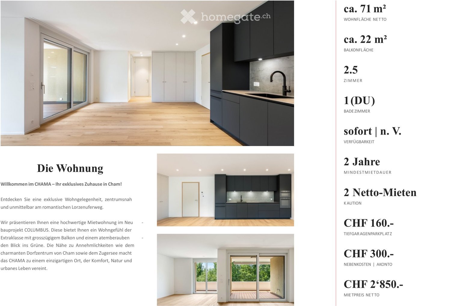 Moderne 2.5-Zimmer-Neubau-Wohnung mit Balkon in Cham - Bild 1