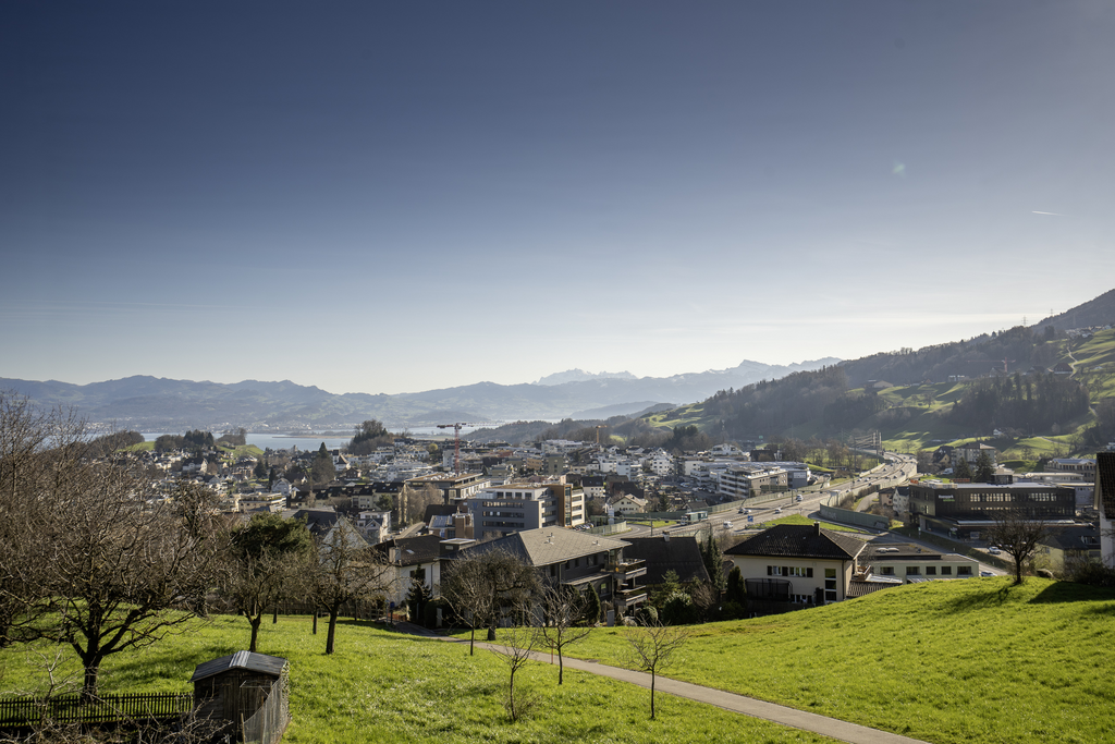 Exklusive 3.5 Zimmer Attikawohnung mit Berg und Seesicht(Neubau) - Aussicht