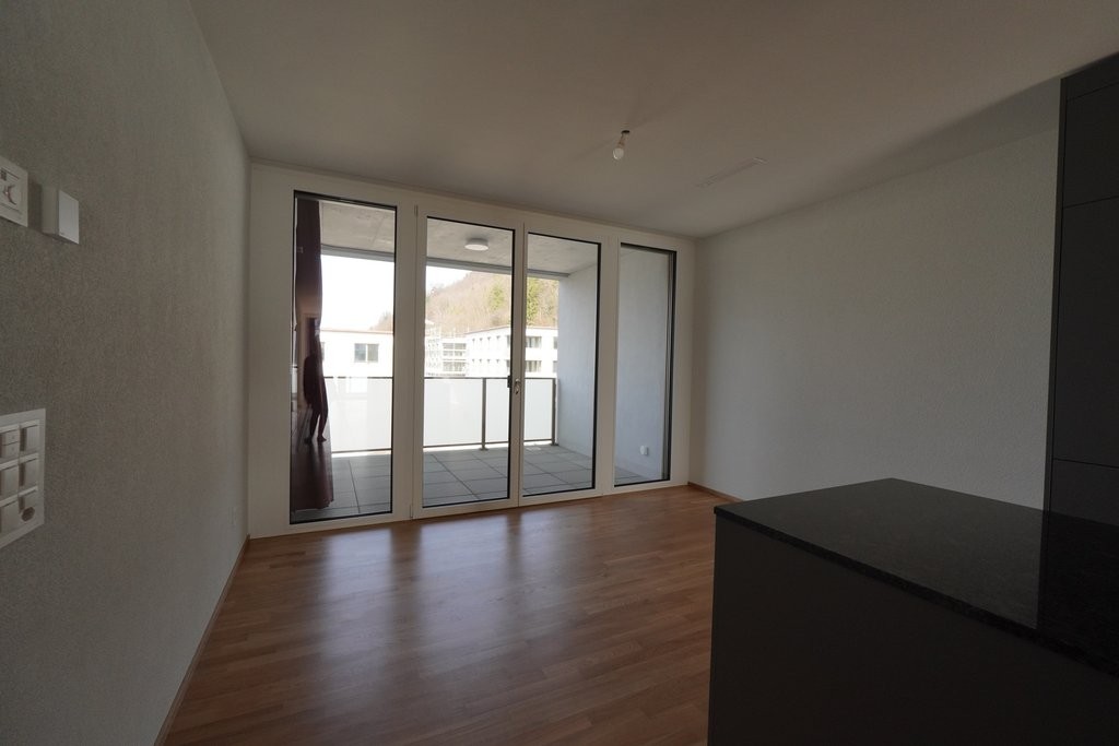 ERSTVERMIETUNG IN LIESTAL - jede Wohnung mit eigenem Waschturm - DSC02797.JPG