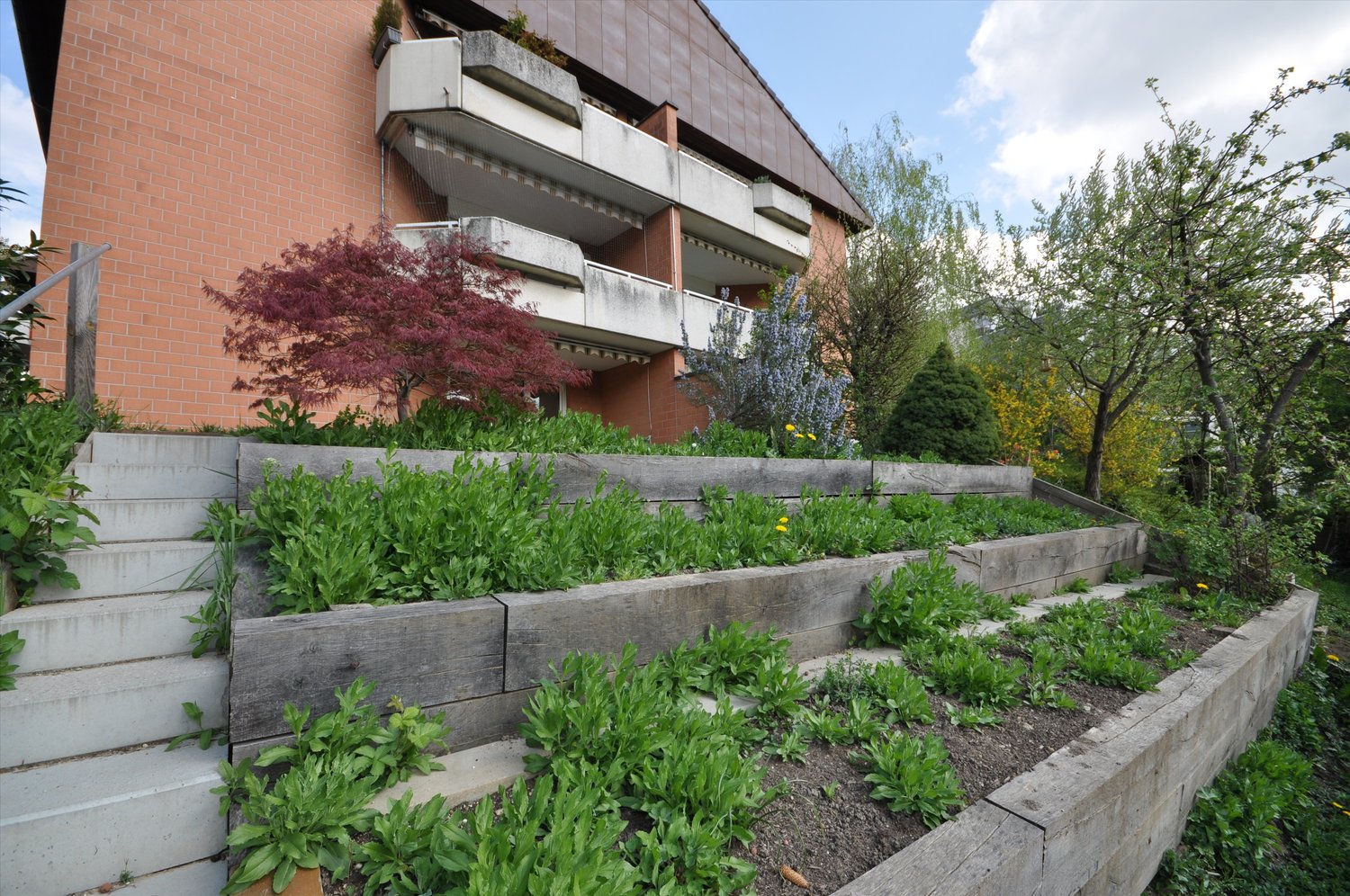 Wohnen am Weidenweg: Licht, Parkett und Ihr eigener Gartenanteil - Aussenansicht