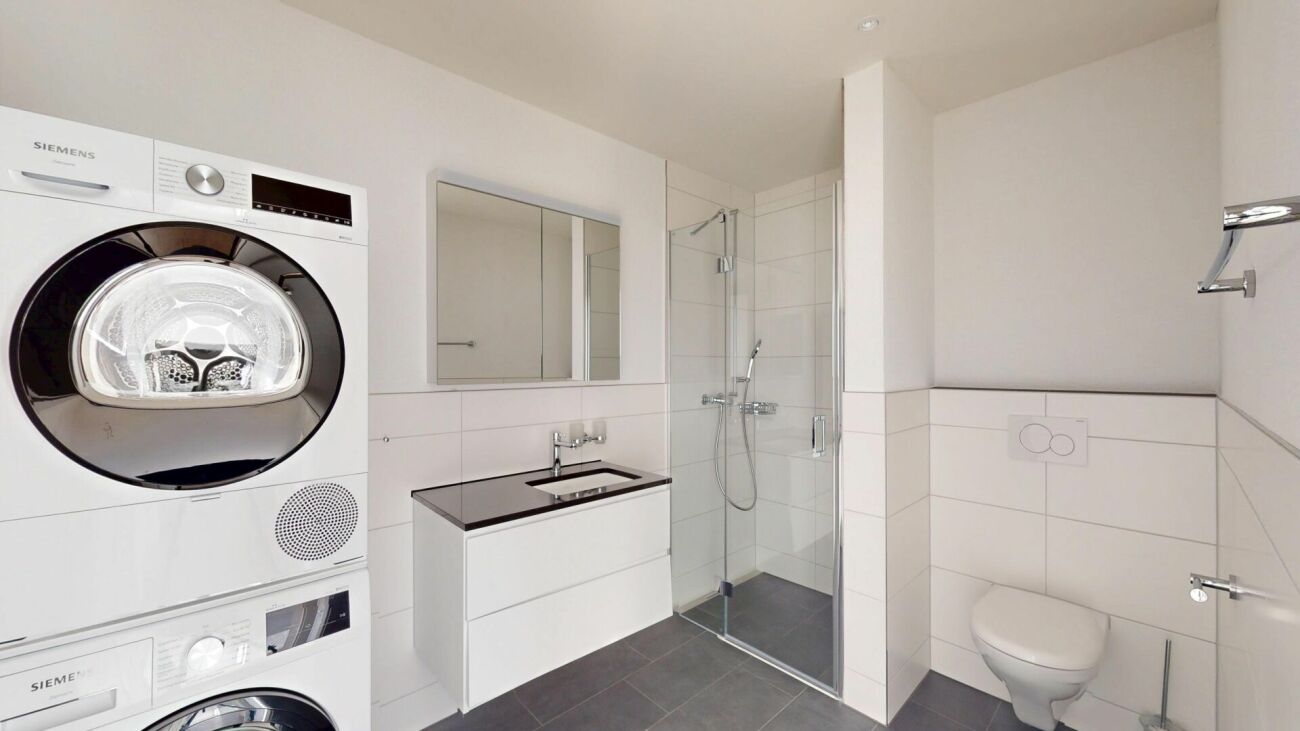 Exklusive 3.5-Zimmer-Attikawohnung im Erstbezug mit 98 m² Sonnenterrasse - Bild 7