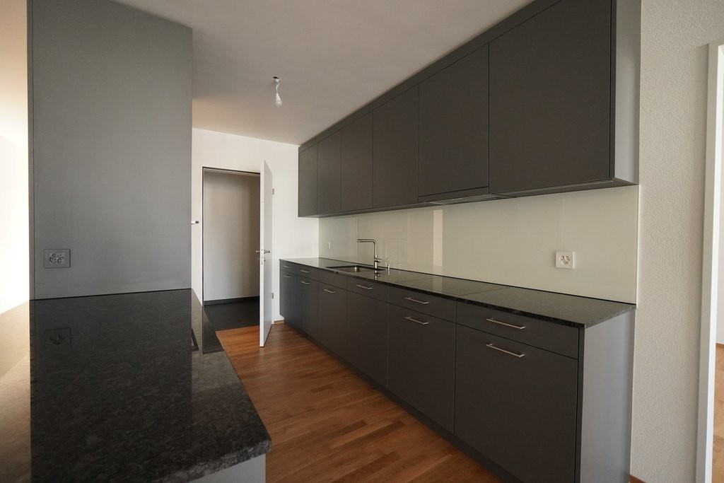 ERSTVERMIETUNG IN LIESTAL - jede Wohnung mit eigenem Waschturm - DSC02712.JPG