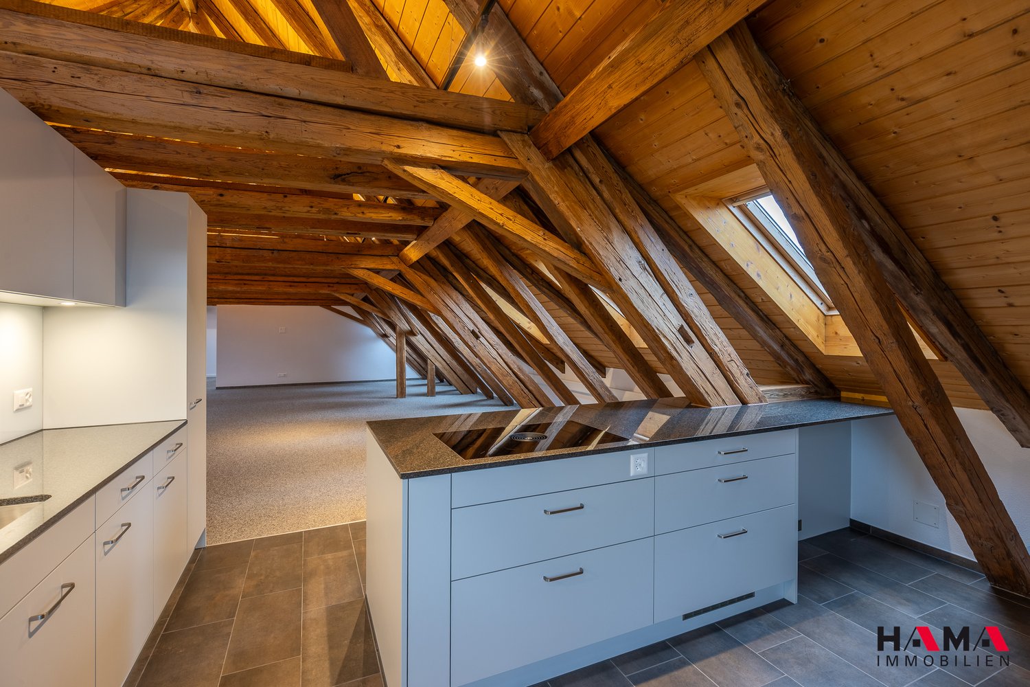 SOMMERAKTION 1. NETTOMIETZINS GRATIS 5.5-Zimmer-Loft-Wohnung mit Balkon - Bild 3