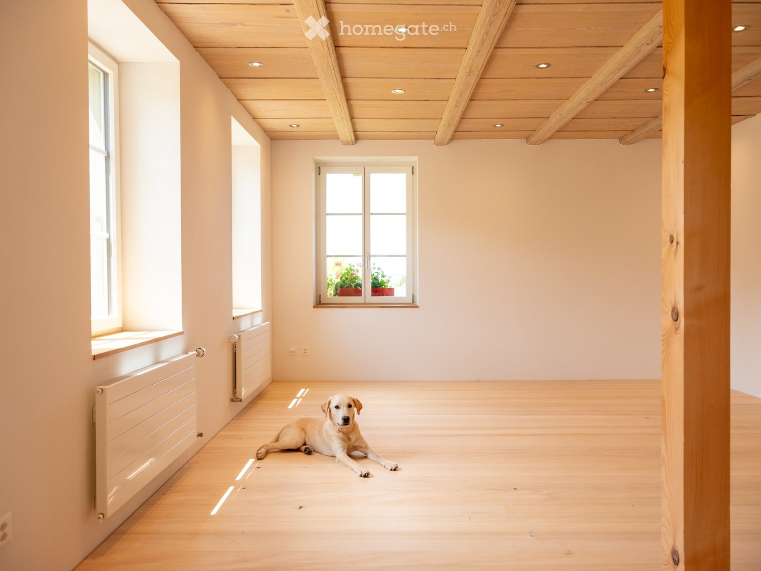 Neue moderne 3.5 Zi. Wohnung mit Charme in Bauernhaus im EG - Bild 10