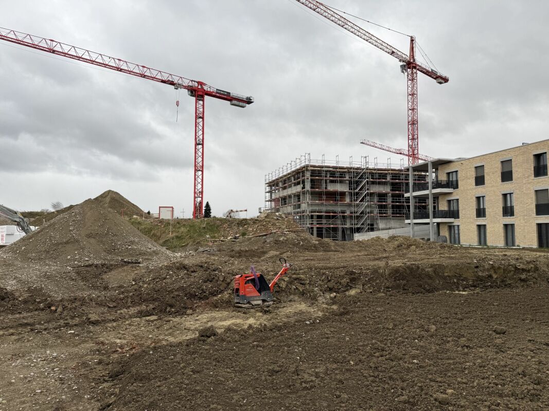 Lichtdurchflutetes Wohnen in bester Lage - Ziegelei-Quartier - Bild 5