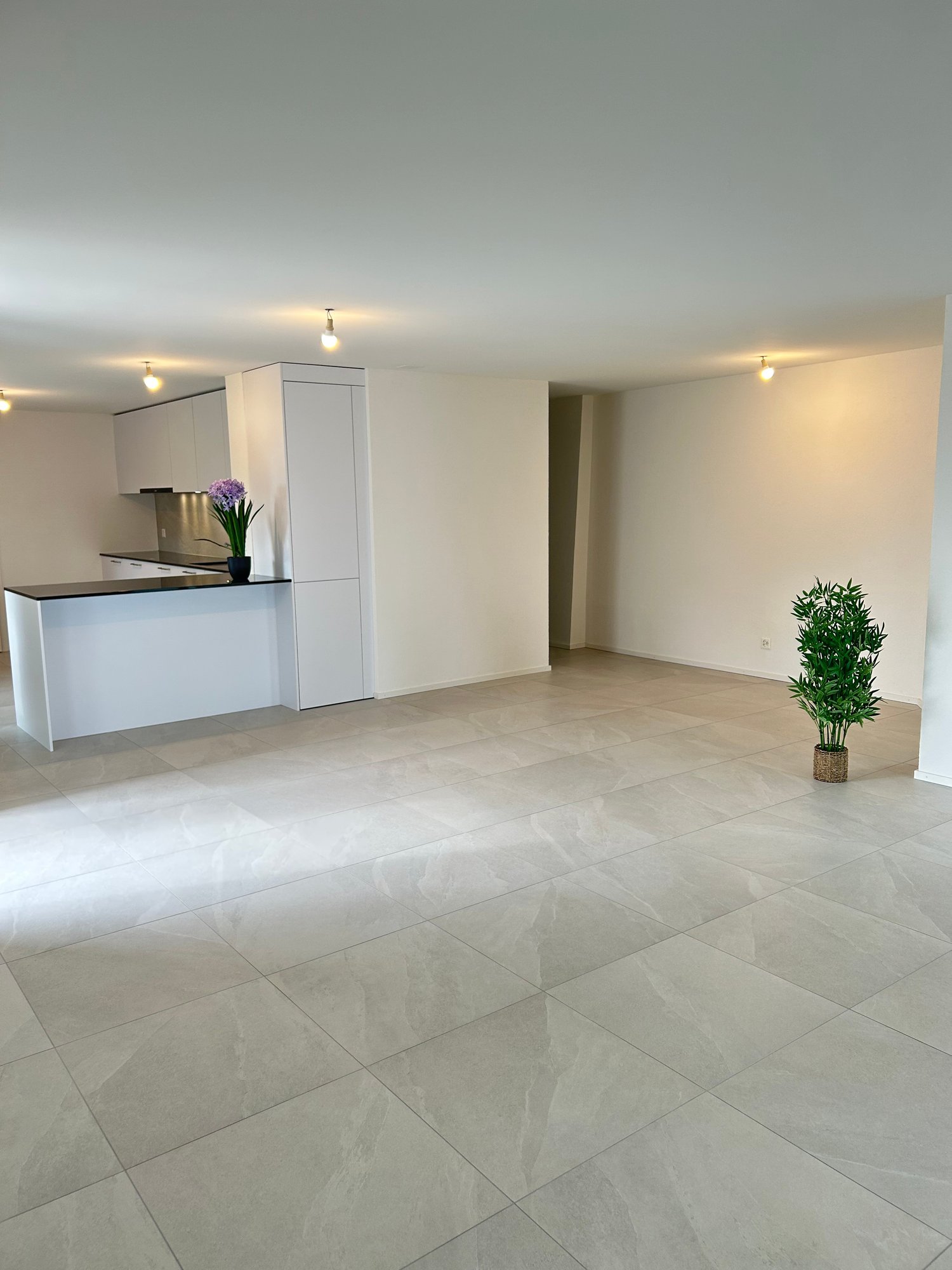 Magnifique duplex de 5.5 pièces à Vullierens - Bild 2