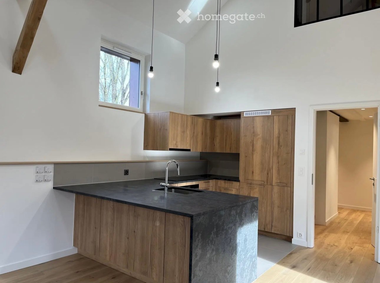 Magnifique duplex de 3 pièces à Troinex avec terrasse et garage - Bild 4