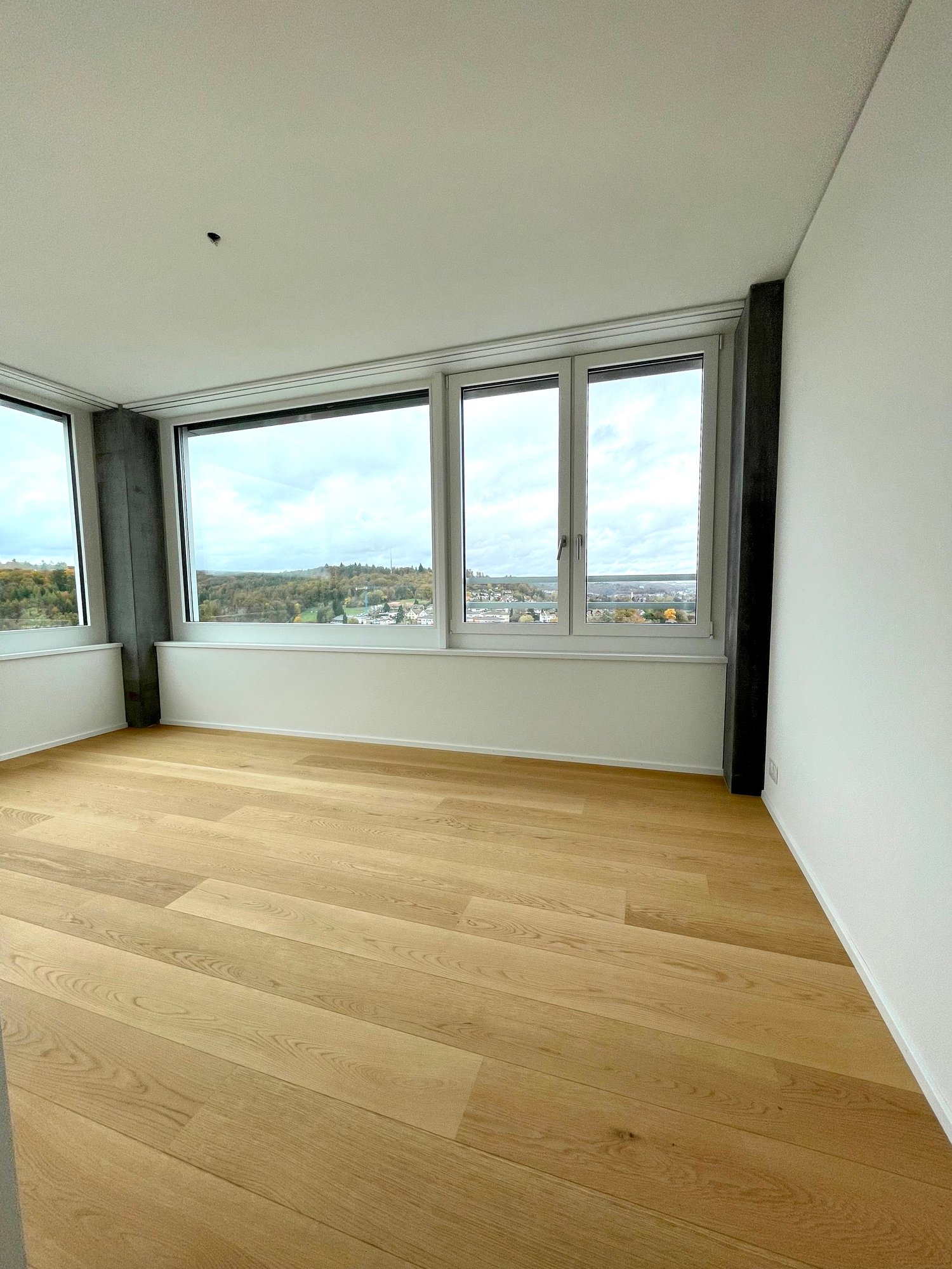 Exklusive 5.5-Zimmer-Wohnung mit spektakulärer Aussicht in Neuhausen am Rheinfall - Bild 8