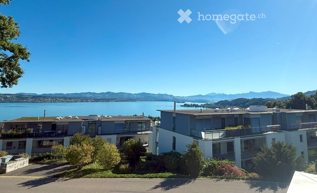 Luxus über dem See: 4.5-Zi. Neubau-Attika, Privatlift, Klimatisierung, Smart Home & edles Design - Bild 1