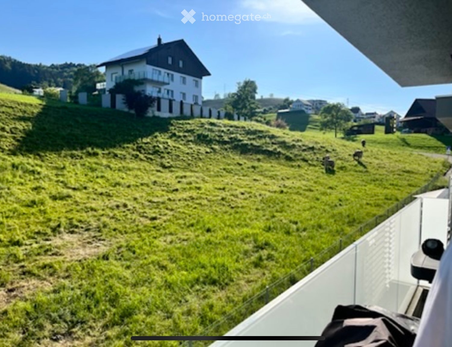 Moderne und helle 4.5-Zimmer-Wohnung in Altendorf – Nachmieter gesucht ab 15.05. - Bild 1