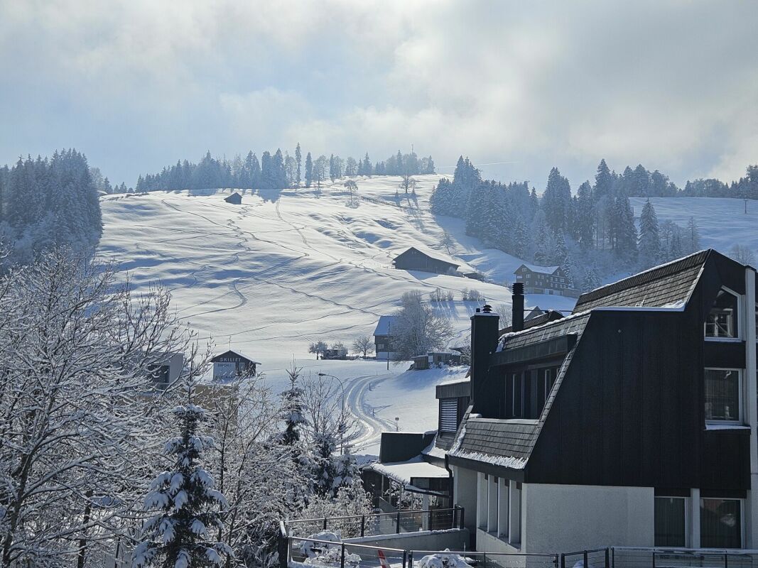 Einfamilienhaus in Einsiedeln mit wunderschöner Aussicht auf den Sihlsee - Bild 5