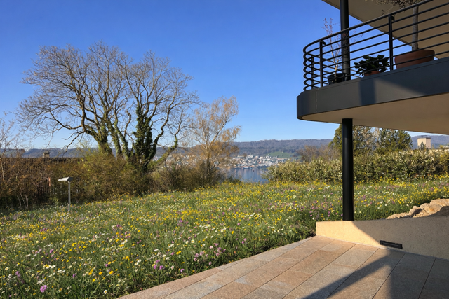 Exklusiver Erstbezug - lichtdurchflutete Gartenwohnung mit Seesicht - Umgebung