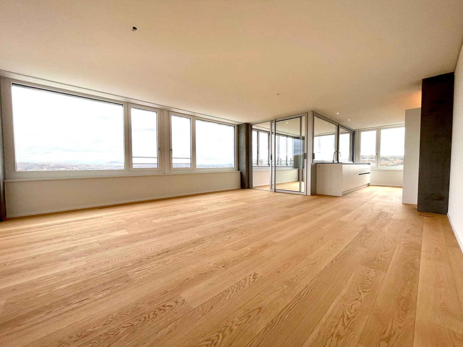 Exklusive 5.5-Zimmer-Wohnung mit spektakulärer Aussicht in Neuhausen am Rheinfall - Bild 3