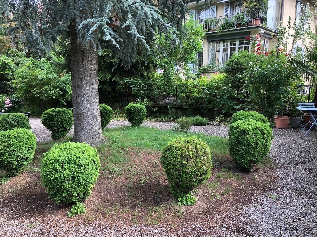 Stilvolle 6-Zimmer-Gartenwohnung im Kirchenfeld - Erstbezug nach Renovation - Bild 4
