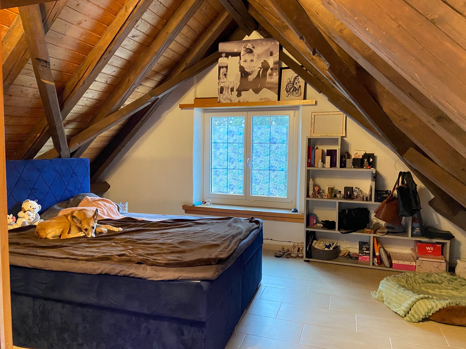 Charmante 3.5-Zimmer-Dachwohnung in Glarus mit Balkon - Bild 11