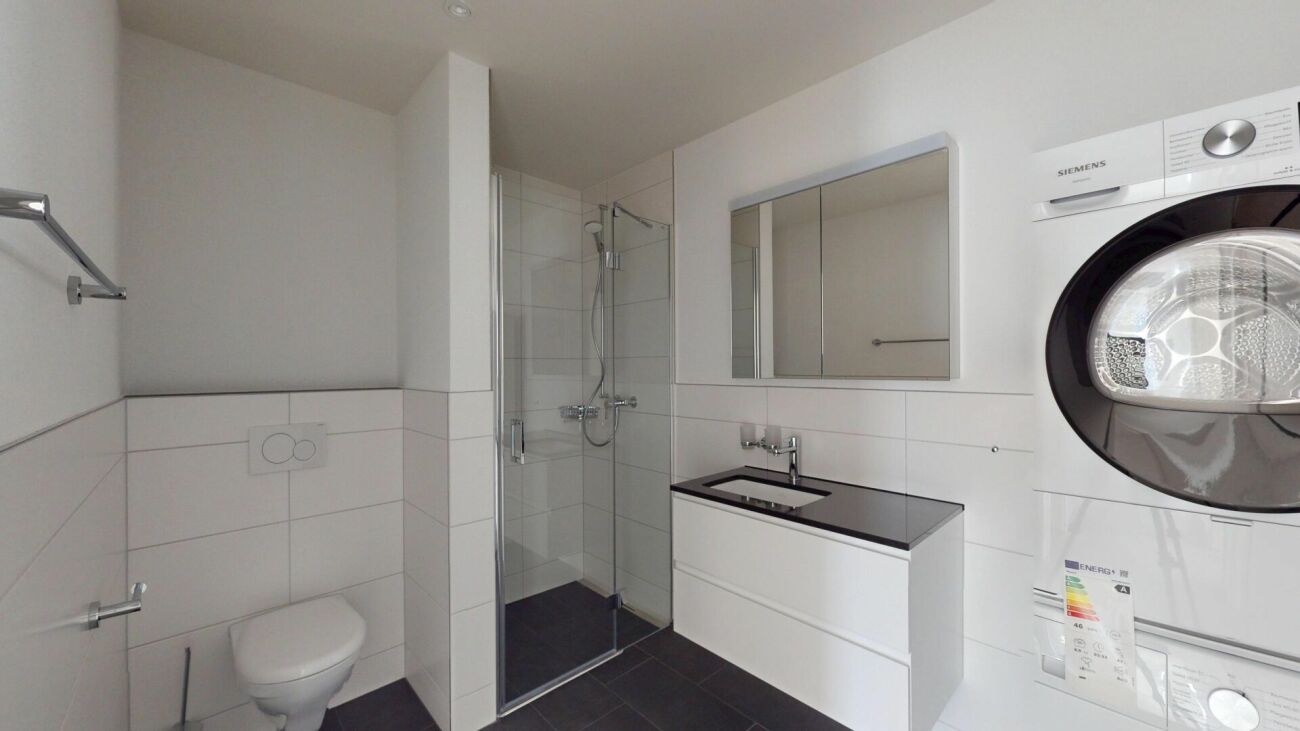 Exklusive 3.5-Zimmer-Attikawohnung im Erstbezug mit Rheinblick - Bild 7