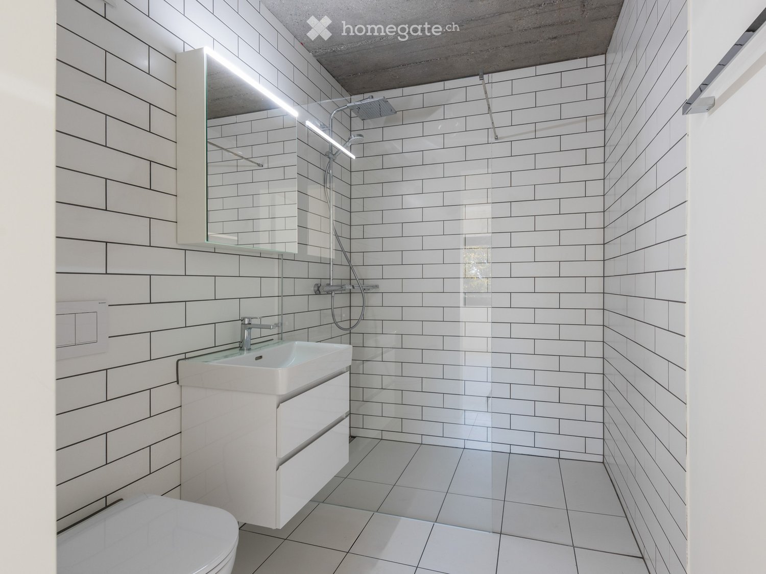 Loft-Charakter: Helle 2-Zimmer-Wohnung in Adliswil nahe Bahnhof Sihlau - Bild 1