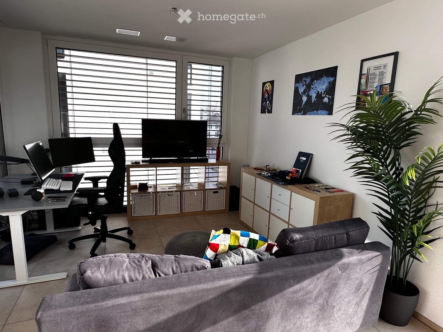 2 1/2 Zimmer Neubauwohnung zur Untermiete - Bild 5