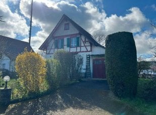 EFH (teilmöbiliert) in Frauenfeld befristet zu vermieten - Bild 3