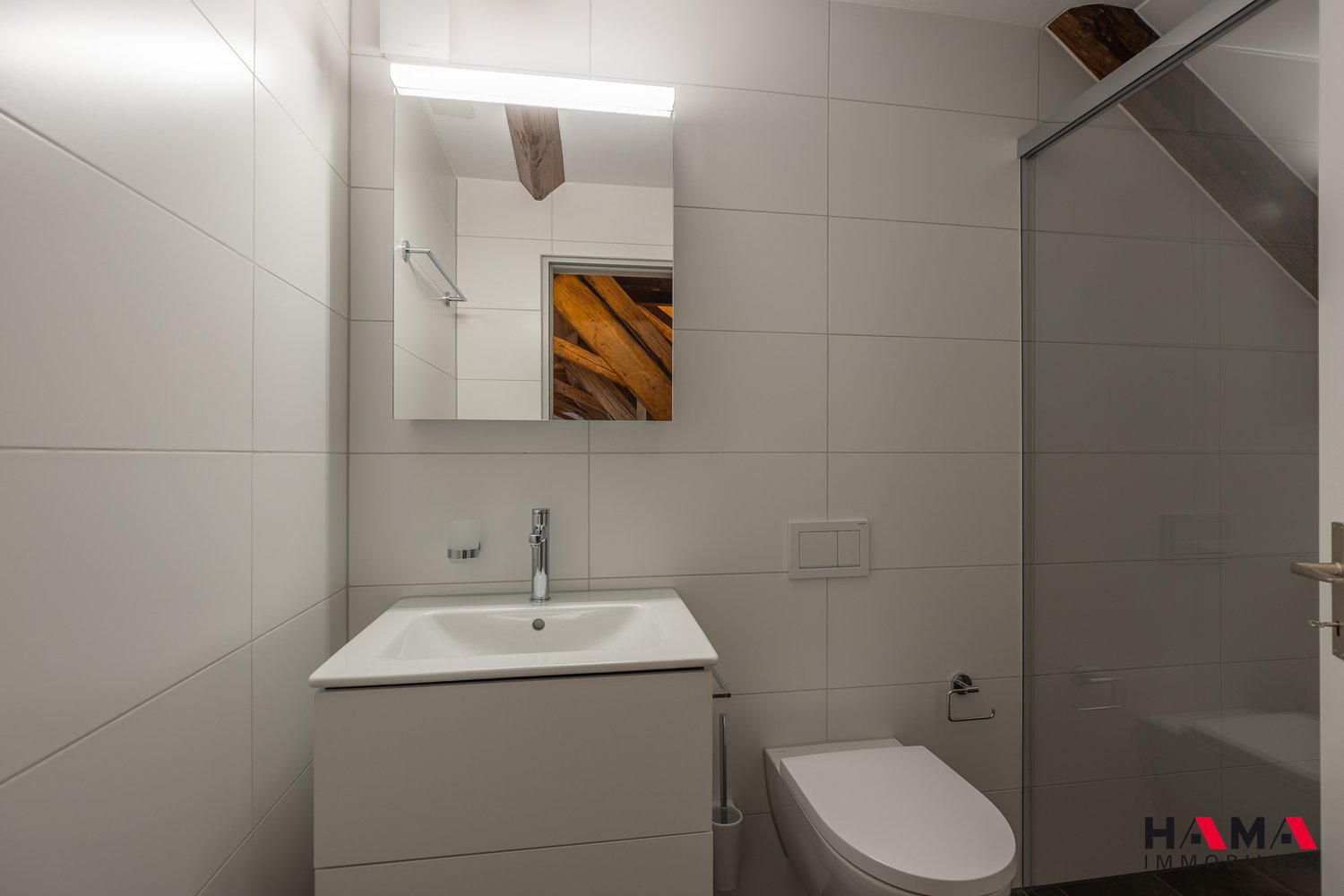 SOMMERAKTION 1. NETTOMIETZINS GRATIS 5.5-Zimmer-Loft-Wohnung mit Balkon - Bild 9