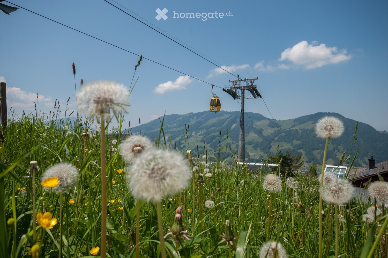 Zentral und doch im Grünen - Bild 9