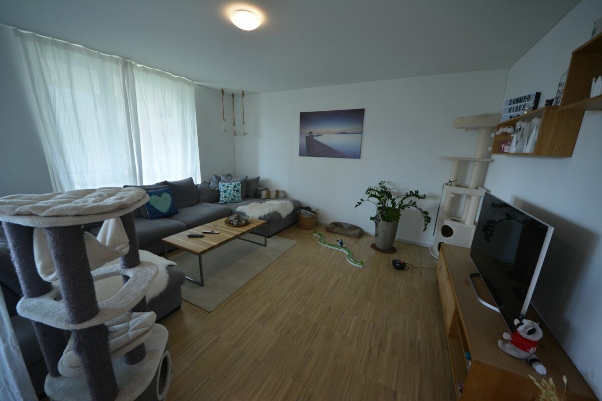 Moderne 4.5-Zimmerwohnung in familienfreundlichem Quartier zu vermieten - Bild 4