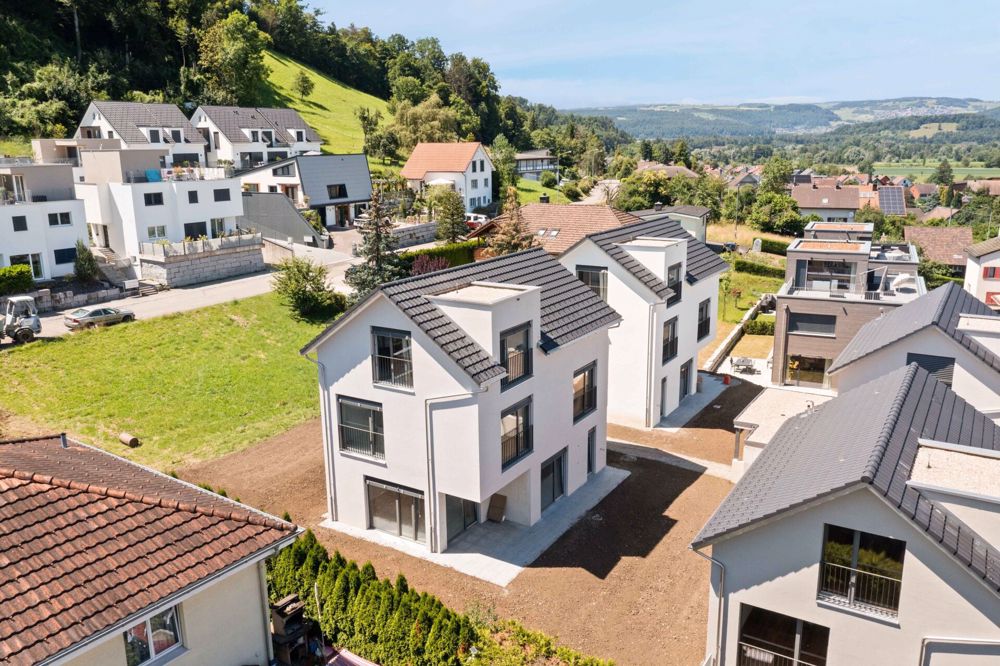 Eleganz trifft Natur: Hochwertige Einfamilienhäuser in Rietheim - Bild 1